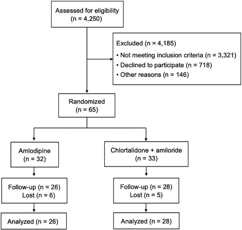 Effects of chlorthalidone plus amiloride compared with amlodipine on short-term blood pressure variability in individuals with hypertension and obstructive sleep apnea: a randomized controlled trial.