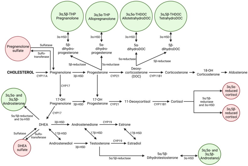 Current pharmacotherapy approaches and novel GABAergic antidepressant development in postpartum depression.