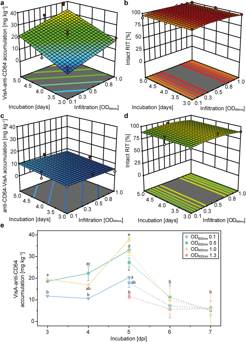 Design, optimization, production and activity testing of recombinant immunotoxins expressed in plants and plant cells for the treatment of monocytic leukemia.