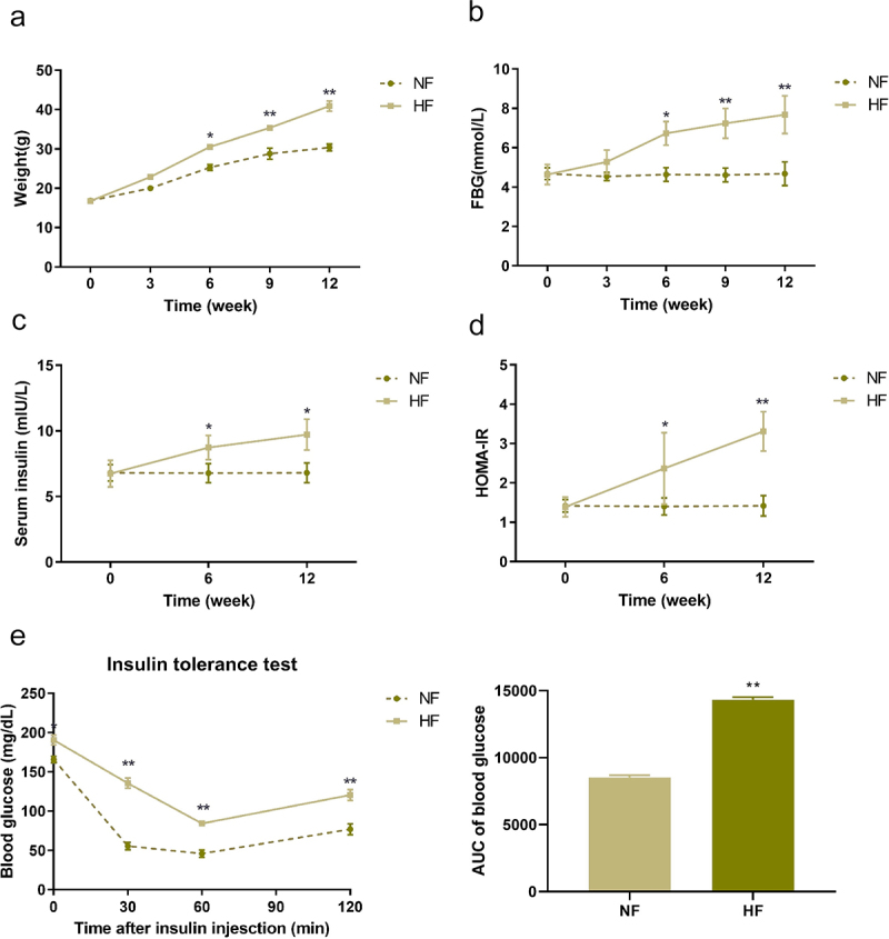 Changes of insulin receptors in high fat and high glucose diet mice with insulin resistance.