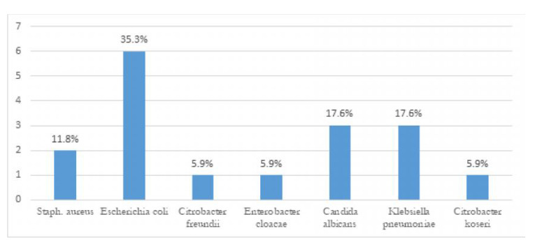 THE EFFECT OF SKIN ANTISEPSIS AFTER PRIMARY SKIN CLOSURE ON THE INCIDENCE OF SURGICAL SITE INFECTION AFTER ABDOMINAL SURGERY FOR SEPSIS: A PRELIMINARY REPORT OF A RANDOMISED CONTROLLED TRIAL.