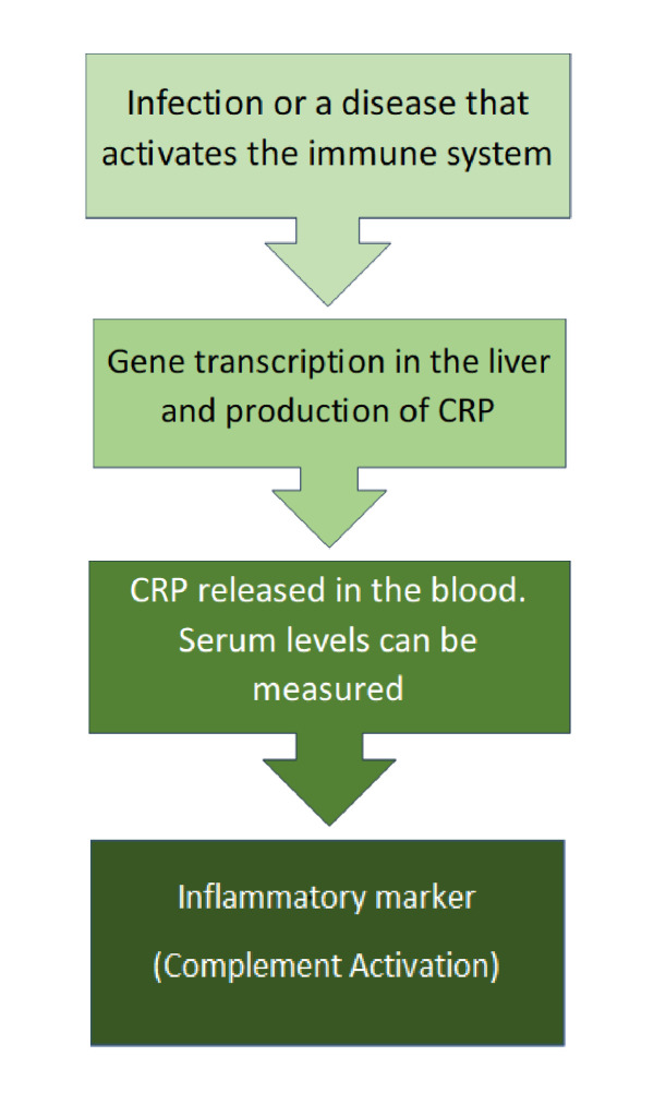 Role of C-reactive protein in disease progression, diagnosis and management.