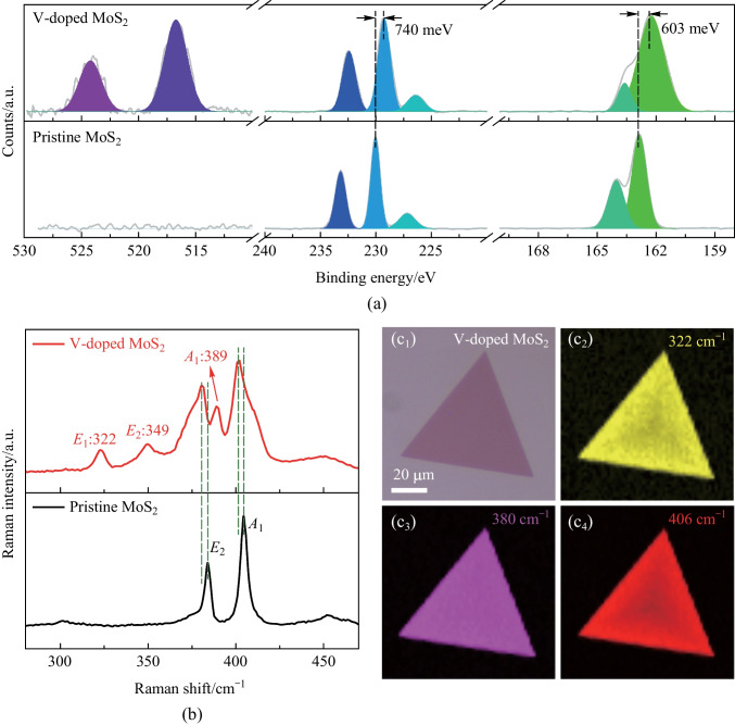 Vapor growth of V-doped MoS<sub>2</sub> monolayers with enhanced B-exciton emission and broad spectral response.