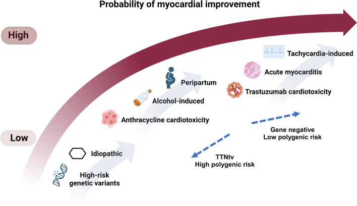 Your Heart Function Has Normalized-What Next After TRED-HF?