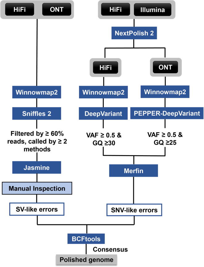 T2T-YAO: A Telomere-to-telomere Assembled Diploid Reference Genome for Han Chinese