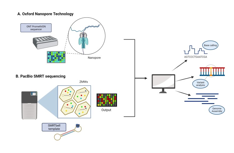 Long-read sequencing improves diagnostic rate in neuromuscular disorders.