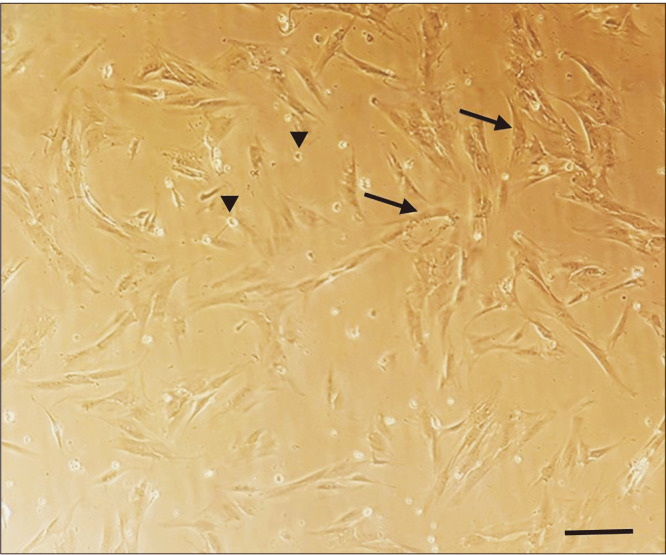 Abstract Image