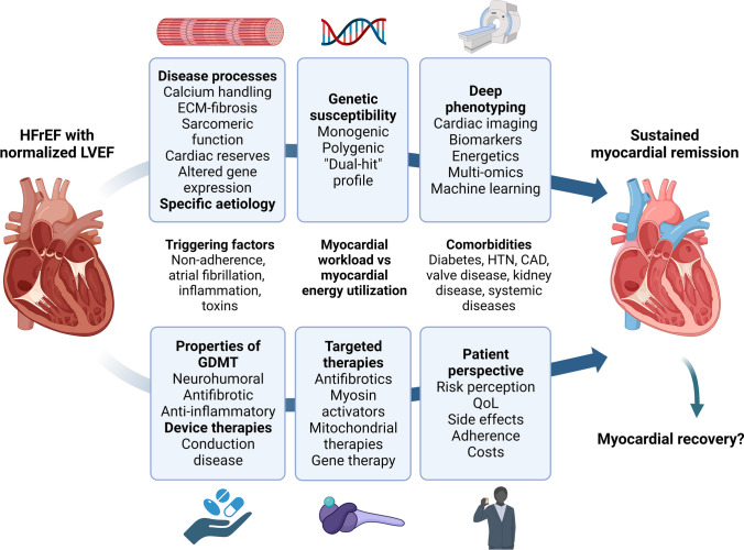 Your Heart Function Has Normalized-What Next After TRED-HF?