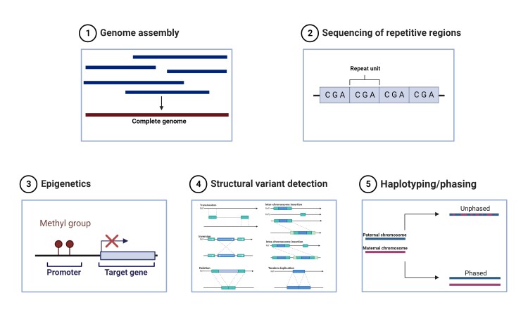 Long-read sequencing improves diagnostic rate in neuromuscular disorders.
