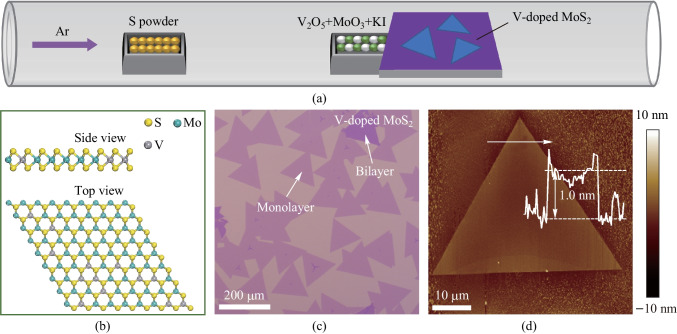 Vapor growth of V-doped MoS<sub>2</sub> monolayers with enhanced B-exciton emission and broad spectral response.