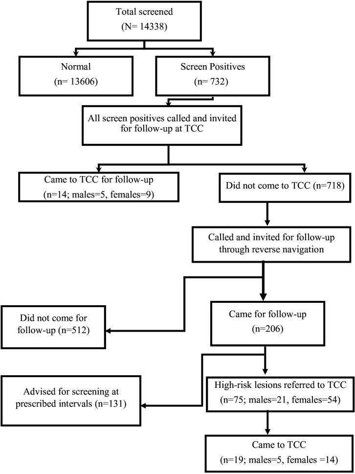 Community cancer screening at primary care level in Northern India: determinants and policy implications for cancer prevention.
