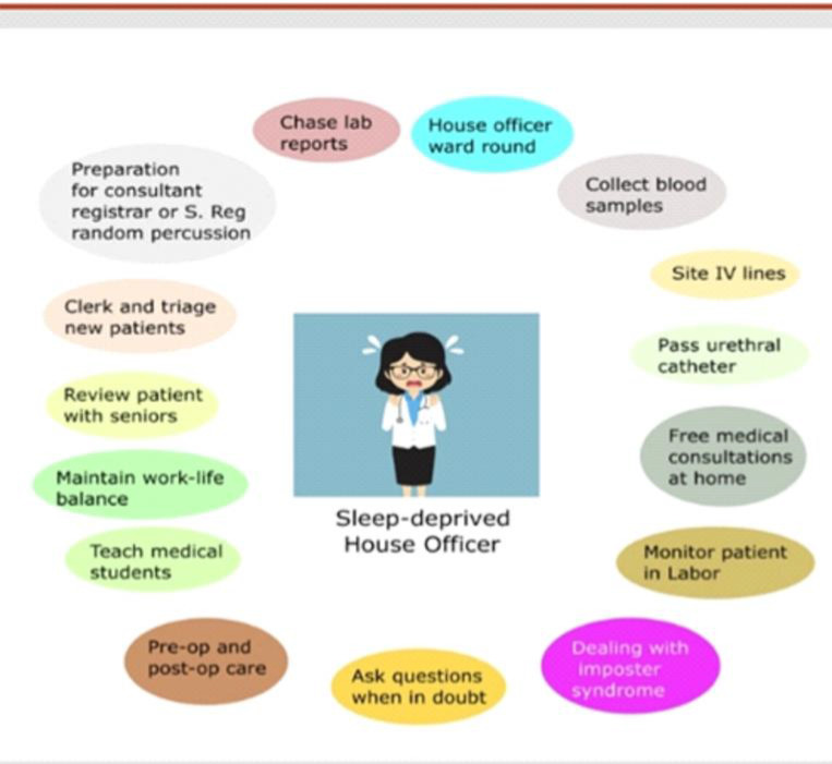 THE IDEAL HOUSE OFFICER: TRAINEE'S PERSPECTIVES.