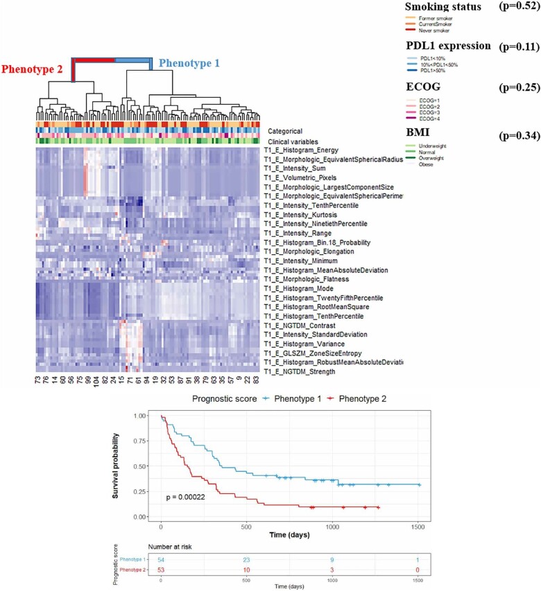State of the art: radiomics and radiomics-related artificial intelligence on the road to clinical translation.