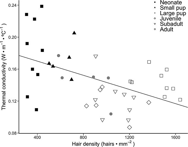 Effects of ontogeny and oiling on the thermal function of southern sea otter (<i>Enhydra lutris nereis</i>) fur.