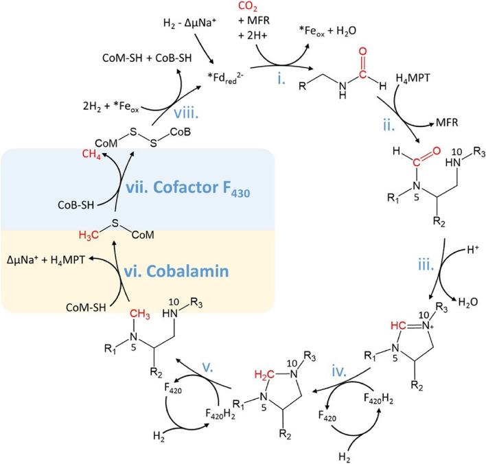 Anti-methanogenic potential of seaweeds and seaweed-derived compounds in ruminant feed: current perspectives, risks and future prospects.