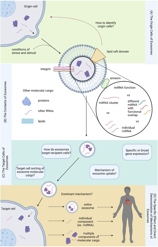 Current challenges surrounding exosome treatments.