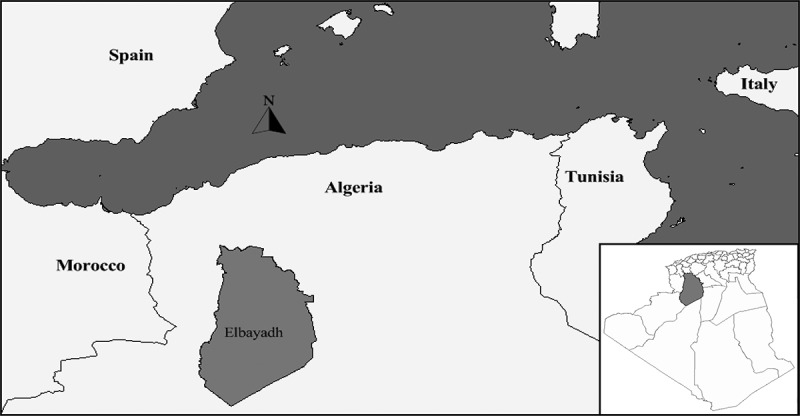 Assessment of the anti-inflammatory and analgesic effects of <i>Opuntia ficus indica</i> L. Cladodes extract.