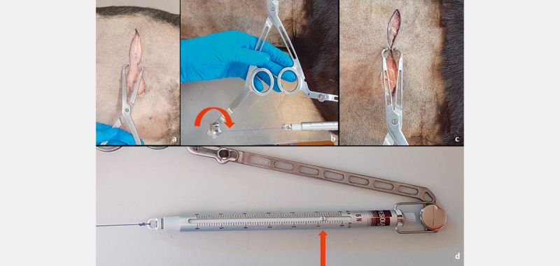 Quantification of skin wound tension using a newly designed wound tensiometer.