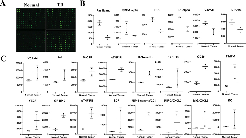 Spleen-Derived CCL9 Recruits MDSC to Facilitate Tumor Growth in Orthotopic Hepatoma Mice.