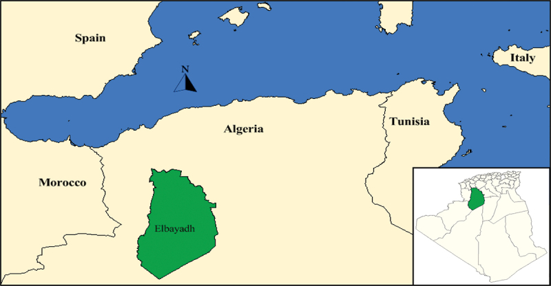 Assessment of the anti-inflammatory and analgesic effects of <i>Opuntia ficus indica</i> L. Cladodes extract.