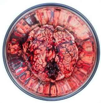 Abstract Image