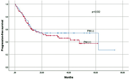 Effects of Potentially Inappropriate Medications in Older Patients with Gastrointestinal System Cancer.