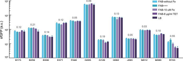High-throughput, microscopy-based screening and quantification of genetic elements.