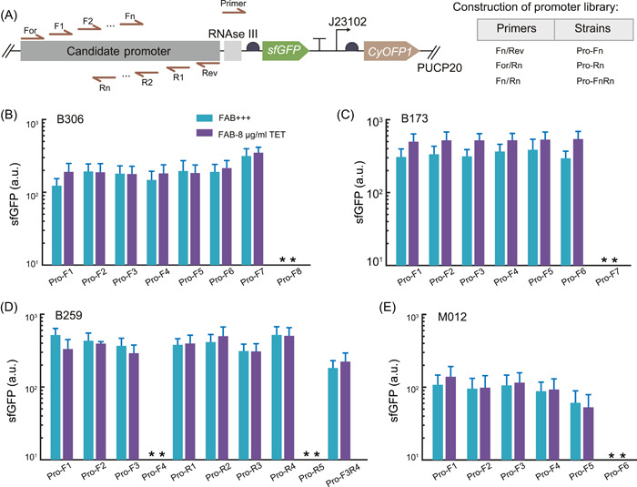 High-throughput, microscopy-based screening and quantification of genetic elements.