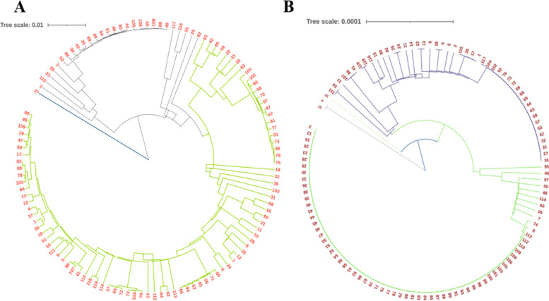 Abstract Image