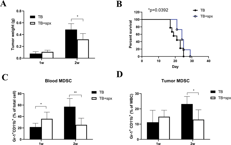 Spleen-Derived CCL9 Recruits MDSC to Facilitate Tumor Growth in Orthotopic Hepatoma Mice.