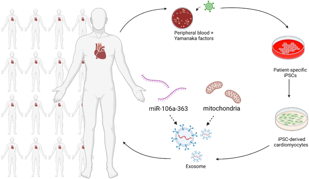 Current challenges surrounding exosome treatments.