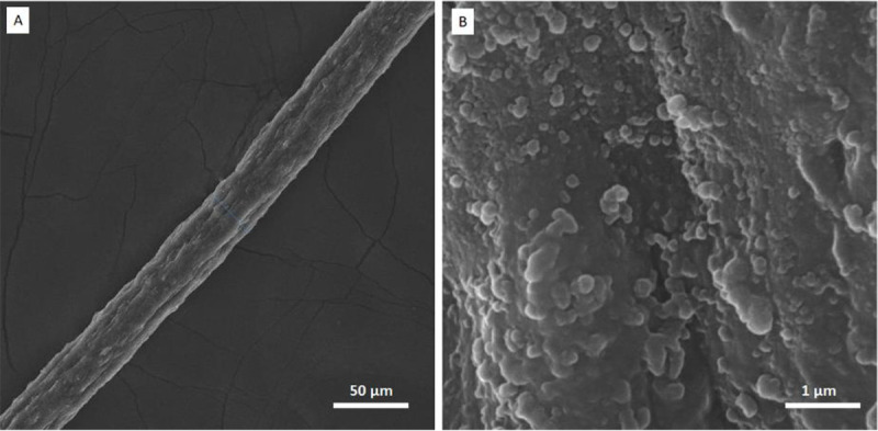 Soft Neural Interfacing based on Implantable Graphene Fiber Microelectrode Arrays.