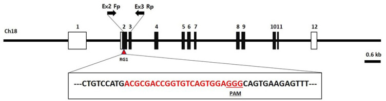 Generation of <i>ints14</i> Knockout Zebrafish using CRISPR/Cas9 for the Study of Development and Disease Mechanisms.