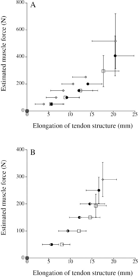 A Longitudinal Study of the Physical Characteristics, Muscle-Tendon Structure Properties, and Skeletal Age in Preadolescent Boys.