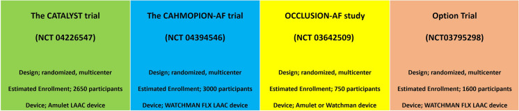 Left Atrial Appendage Closure: A Narrative Review.
