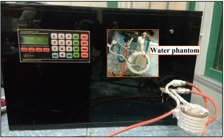 Evaluation of Thermal Properties of Ferromagnetic Core for Treatment of Solid Tumors by Electromagnetic Induction Hyperthermia.