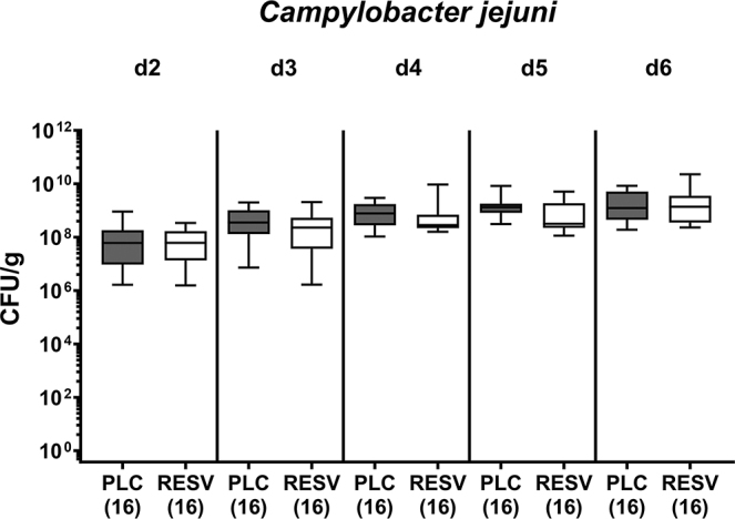 Prophylactic oral application of resveratrol to alleviate acute campylobacteriosis in human gut microbiota associated IL-10-/- mice.