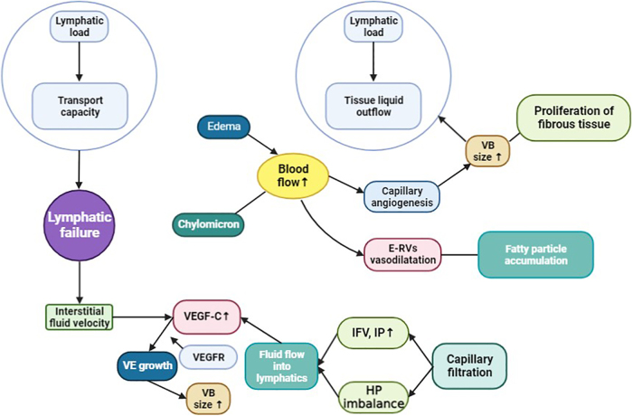 Recent Advances in Therapeutic Modalities Against Breast Cancer-Related Lymphedema: Future Epigenetic Landscape.