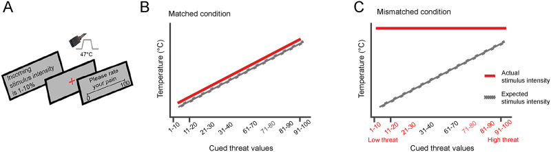 Top-down threat bias in pain perception is predicted by higher segregation between resting-state networks.