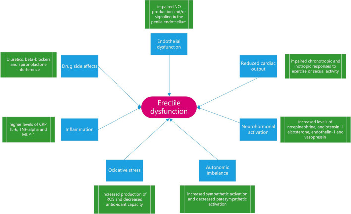 Heart Failure and Erectile Dysfunction: a Review of the Current Evidence and Clinical Implications.