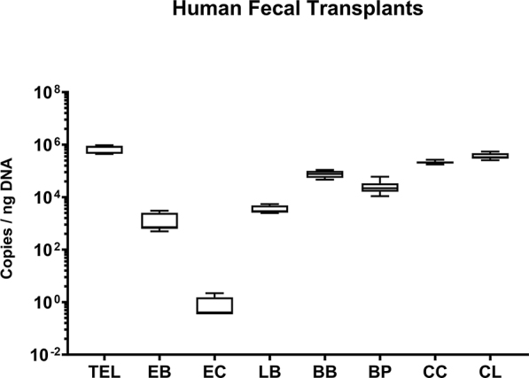 Prophylactic oral application of resveratrol to alleviate acute campylobacteriosis in human gut microbiota associated IL-10-/- mice.