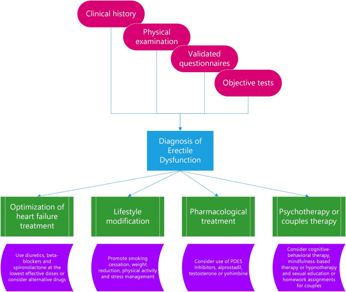 Heart Failure and Erectile Dysfunction: a Review of the Current Evidence and Clinical Implications.