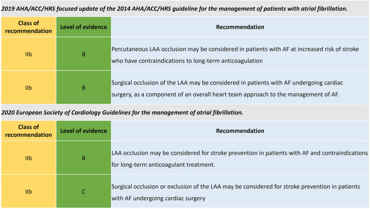 Left Atrial Appendage Closure: A Narrative Review.