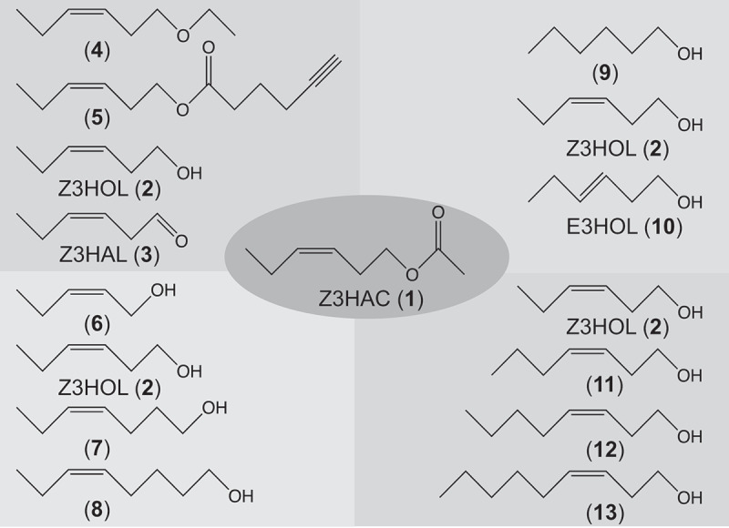 Structure-activity relationship of volatile compounds that induce defense-related genes in maize seedlings.