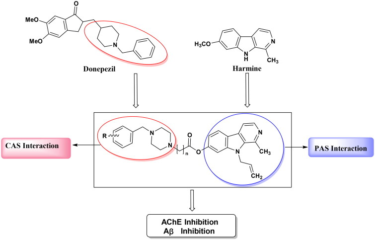 Novel harmine derivatives as potent acetylcholinesterase and amyloid beta aggregation dual inhibitors for management of Alzheimer's disease.