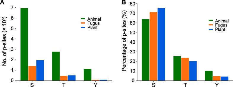 A Review of Machine Learning and Algorithmic Methods for Protein Phosphorylation Site Prediction