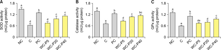 Wheat Ceramide Powder Mitigates Ultraviolet B-Induced Oxidative Stress and Photoaging by Inhibiting Collagen Proteolysis and Promoting Collagen Synthesis in Hairless Mice.