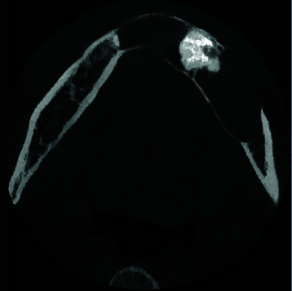 Abstract Image