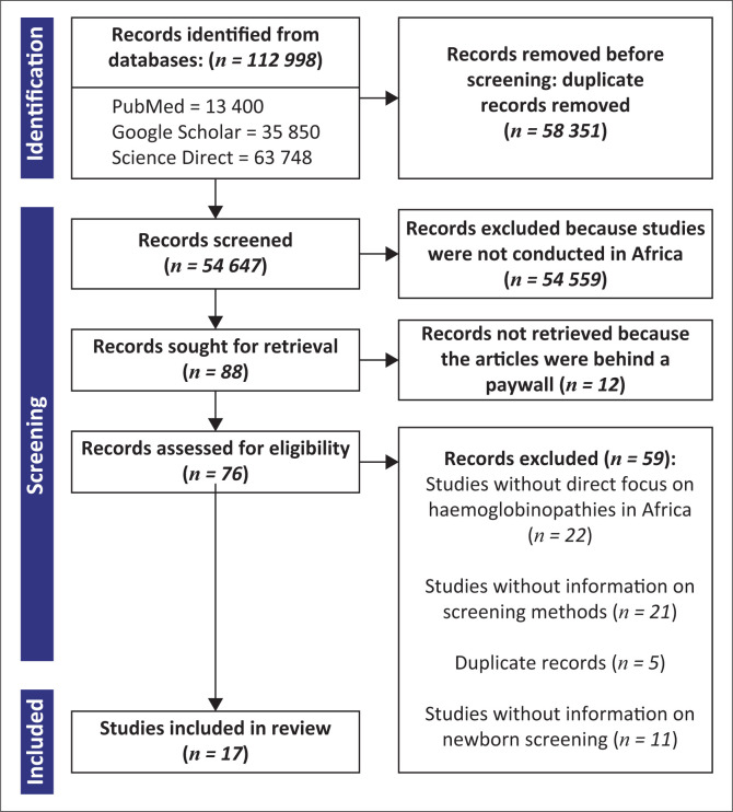 Bridging the gaps in newborn screening programmes: Challenges and opportunities to detect haemoglobinopathies in Africa.