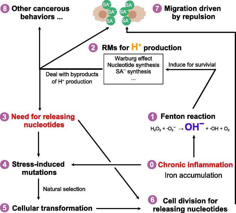 Cancer Is A Survival Process under Persistent Microenvironmental and Cellular Stresses